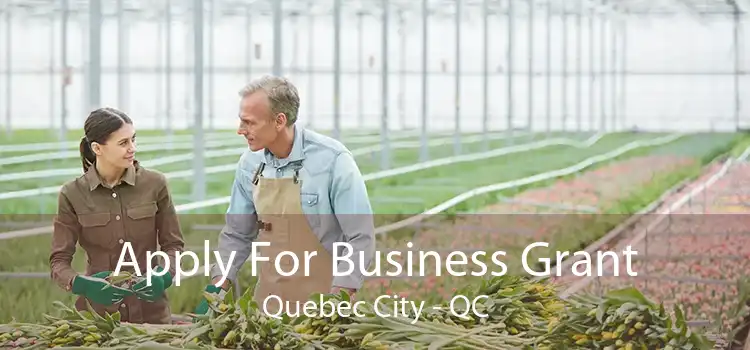 Apply For Business Grant Quebec City - QC